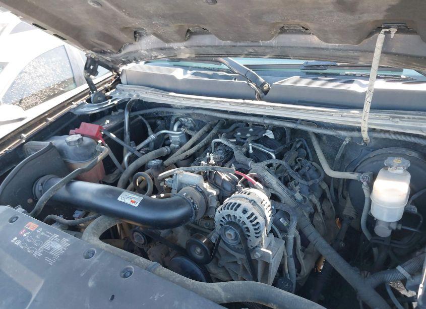 Photo 10 of 2013 Chevrolet Silverado 1500 WORK TRUCK (VIN 1GCRKPE7XDZ192867)