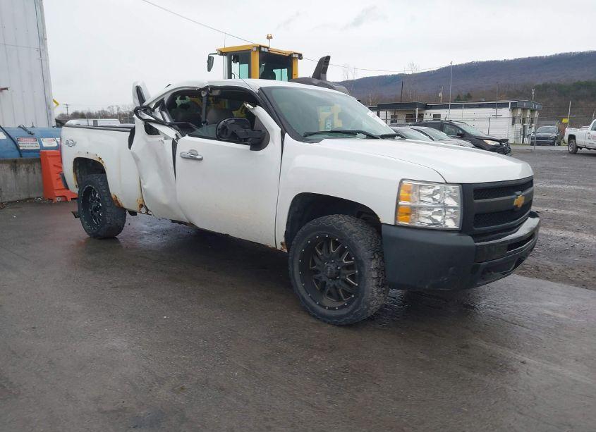2013 Chevrolet Silverado 1500 WORK TRUCK (VIN 1GCRKPEA1DZ391351) main photo