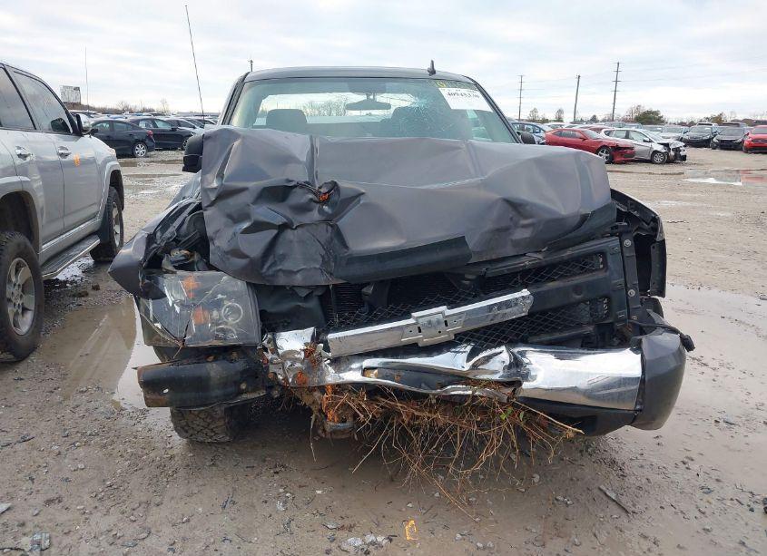 Photo 12 of 2011 Chevrolet Silverado 1500 LS (VIN 1GCRKREA3BZ211585)