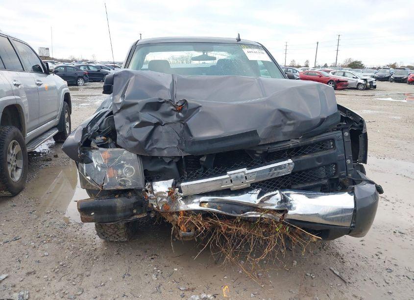 Photo 6 of 2011 Chevrolet Silverado 1500 LS (VIN 1GCRKREA3BZ211585)