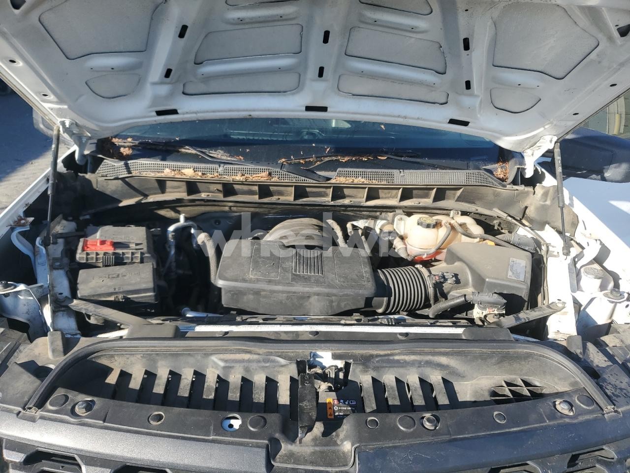 Photo 11 of 2019 CHEVROLET SILVERADO C1500 (VIN 1GCRWAEH0KZ260973)