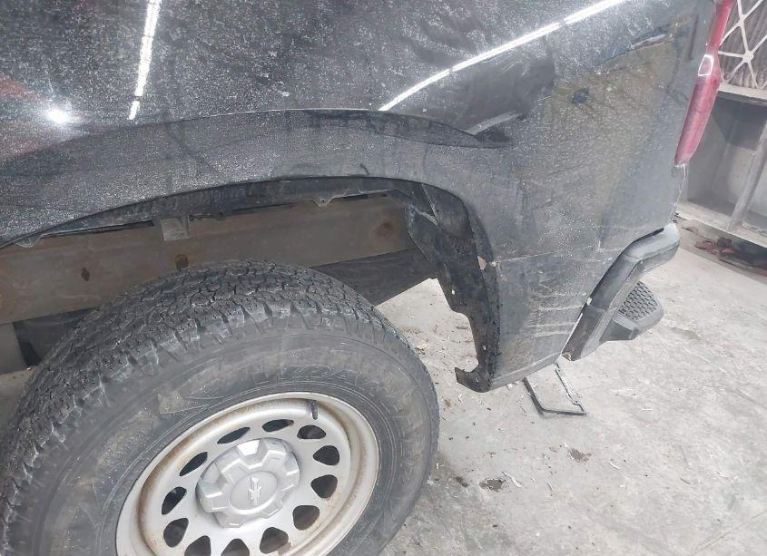 Photo 6 of 2020 Chevrolet Silverado 1500 4WD STANDARD BED WT (VIN 1GCRYAEH3LZ159549)