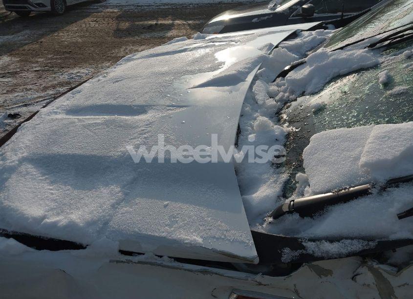 Photo 10 of 2019 Chevrolet Silverado 1500 RST (VIN 1GCRYEEDXKZ273955)