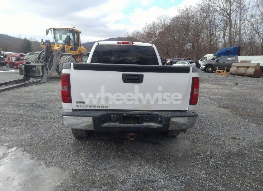 Photo 17 of 2010 Chevrolet Silverado 1500 WORK TRUCK (VIN 1GCSKPE31AZ229573)