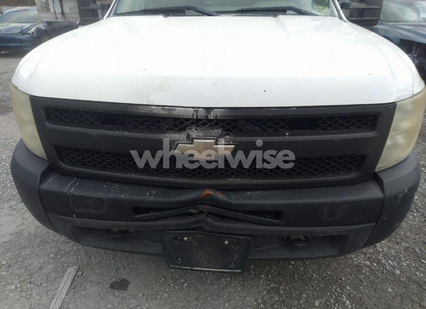 Photo 18 of 2010 Chevrolet Silverado 1500 WORK TRUCK (VIN 1GCSKPE31AZ229573)