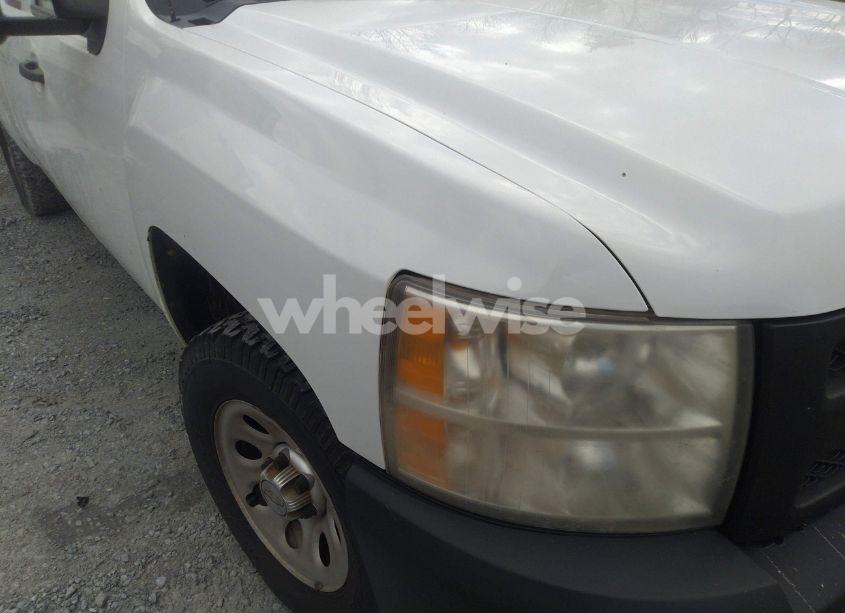 Photo 19 of 2010 Chevrolet Silverado 1500 WORK TRUCK (VIN 1GCSKPE31AZ229573)