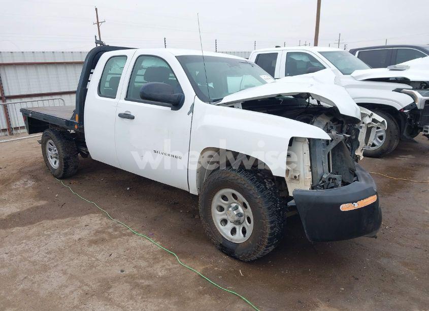2010 Chevrolet Silverado 1500 WORK TRUCK (VIN 1GCSKPE32AZ189987) main photo