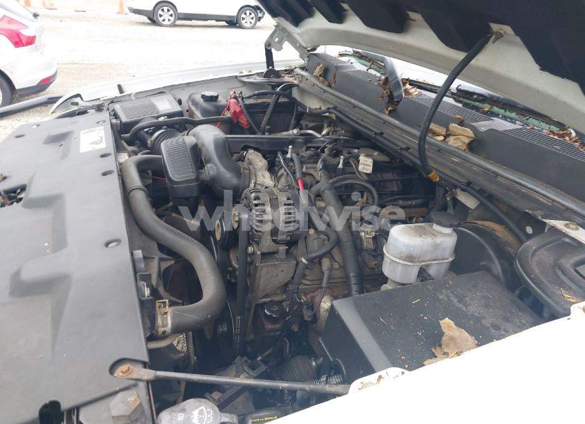 Photo 10 of 2010 Chevrolet Silverado 1500 WORK TRUCK (VIN 1GCSKPE3XAZ298939)