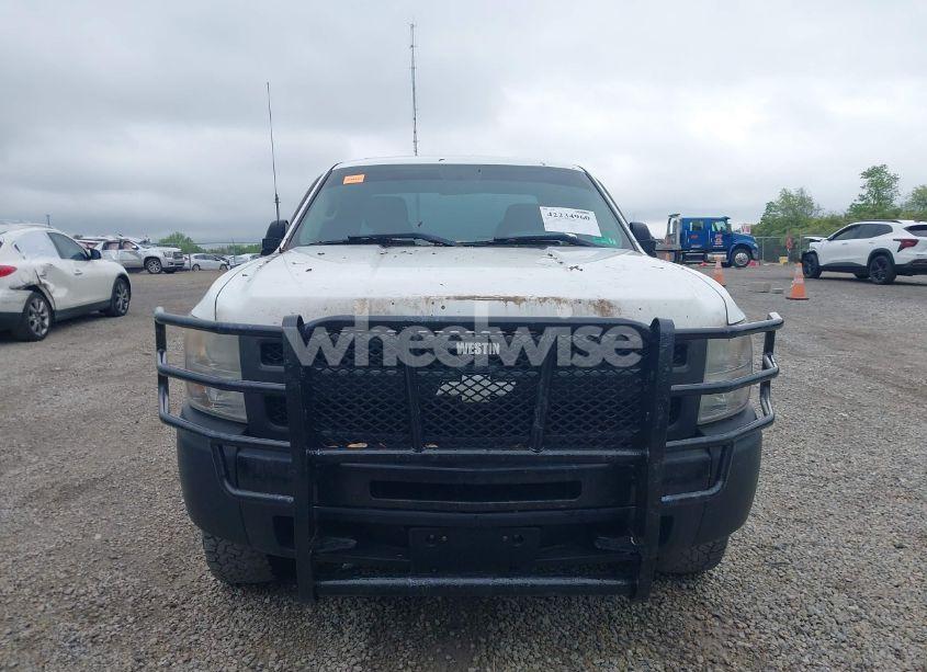 Photo 13 of 2010 Chevrolet Silverado 1500 WORK TRUCK (VIN 1GCSKPE3XAZ298939)