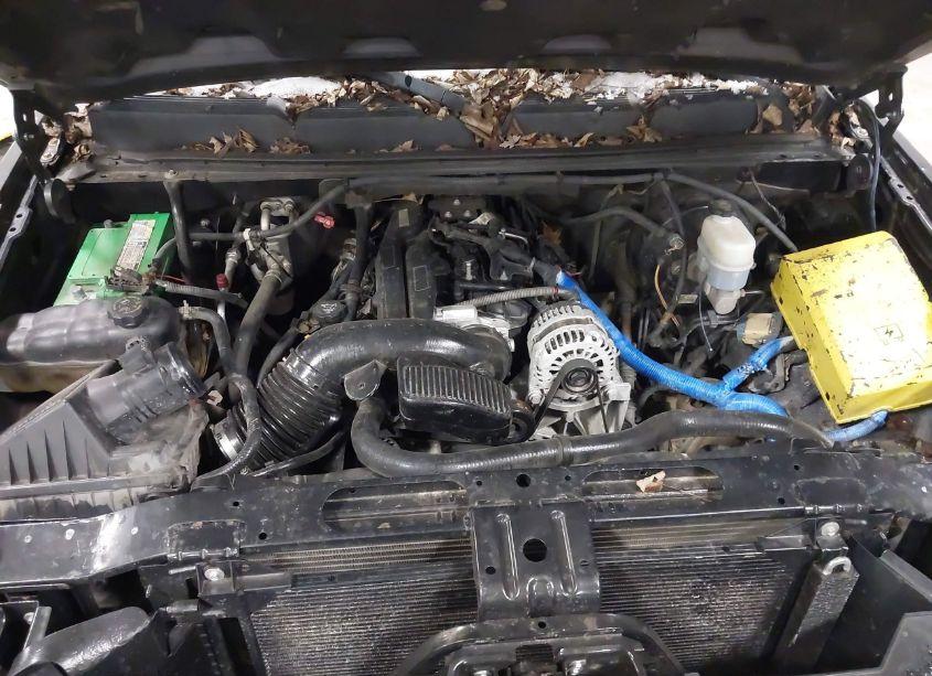 Photo 10 of 2010 Chevrolet Silverado 1500 LT (VIN 1GCSKSEA9AZ148256)