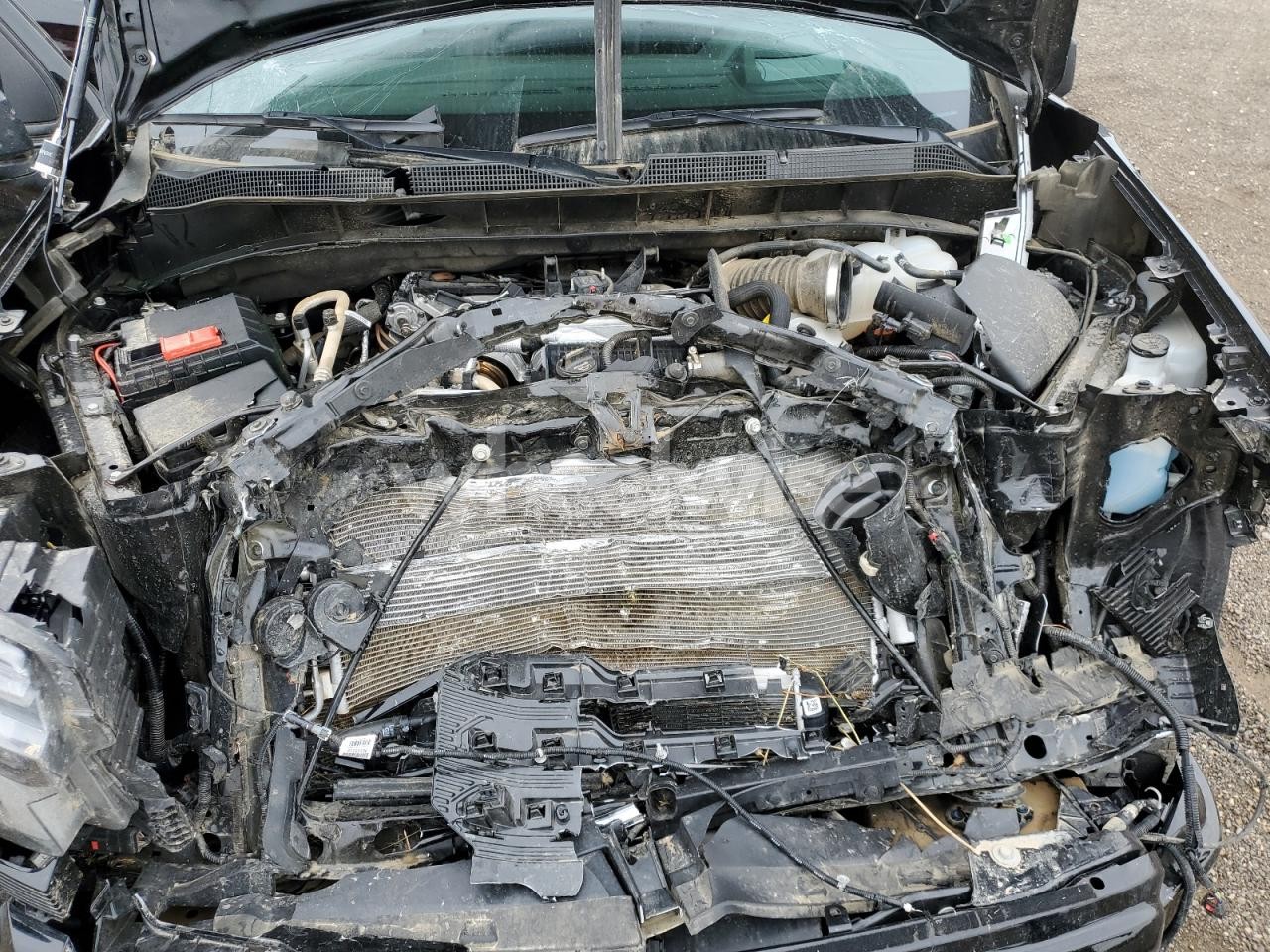 Photo 11 of 2025 CHEVROLET SILVERADO K1500 HIGH COUNTRY (VIN 1GCUKJE82SZ173730)