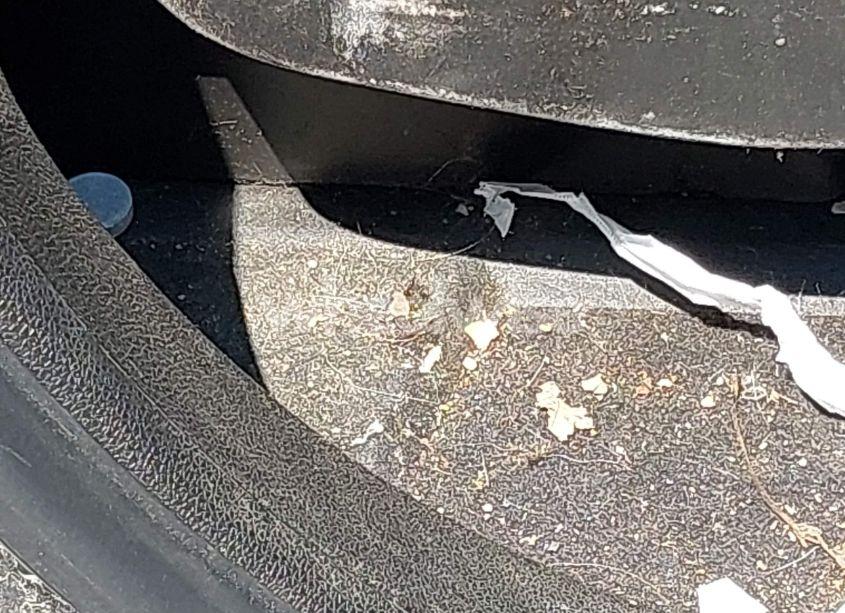 Photo 18 of 2012 Gmc Acadia SLE (VIN 1GKKRPED4CJ388291)