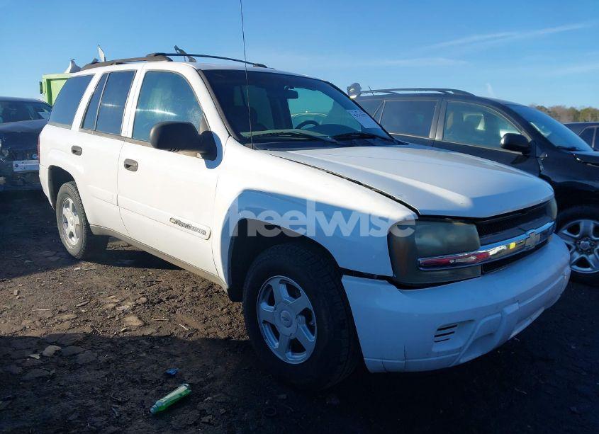2002 Chevrolet Trailblazer LS (VIN 1GNDS13S122406687) main photo