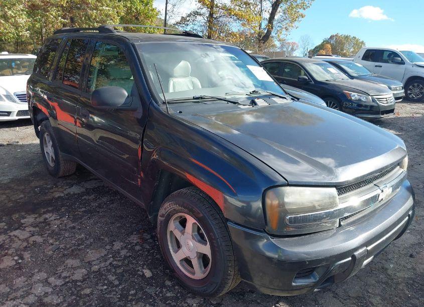 2006 Chevrolet Trailblazer LS (VIN 1GNDS13S162210688) main photo