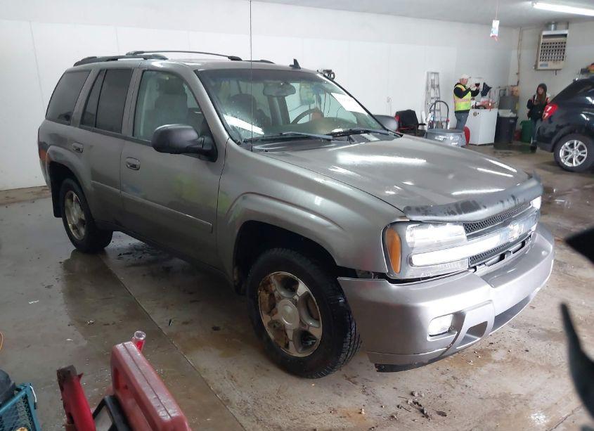 2008 Chevrolet Trailblazer LT (VIN 1GNDS13S182221113) main photo