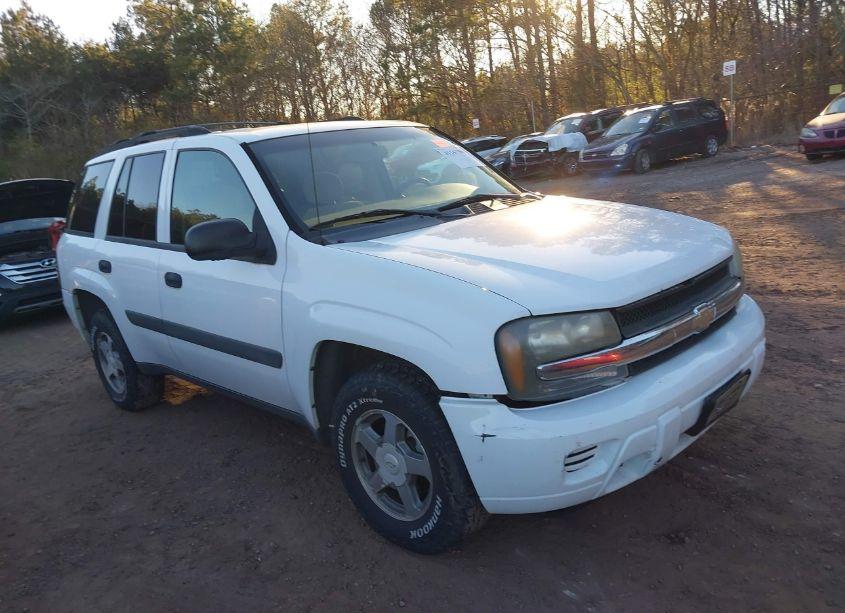 2005 Chevrolet Trailblazer LS (VIN 1GNDS13S352234702) main photo