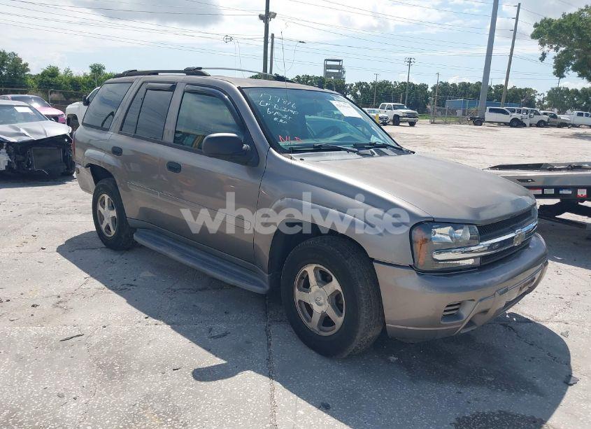 2006 Chevrolet Trailblazer LS (VIN 1GNDS13S462196320) main photo