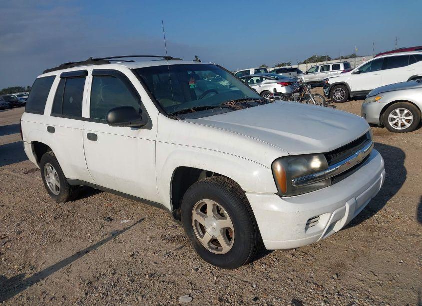 2006 Chevrolet Trailblazer LS (VIN 1GNDS13S462301129) main photo