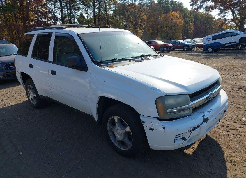 2007 Chevrolet Trailblazer LS (VIN 1GNDS13S472260499) main photo