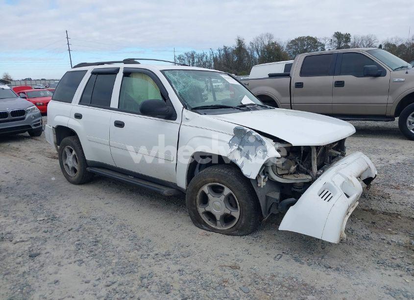 2008 Chevrolet Trailblazer FLEET (VIN 1GNDS13S482106361) main photo
