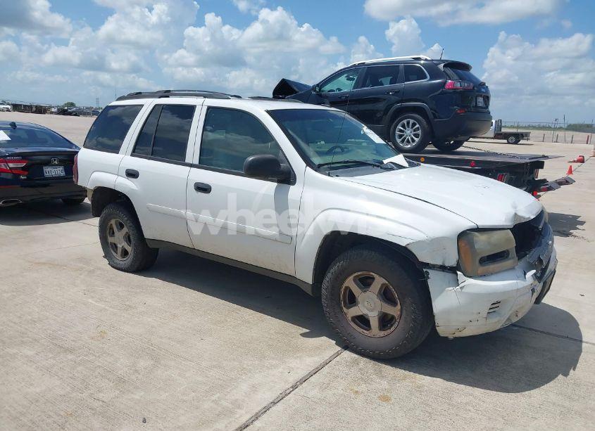 2006 Chevrolet Trailblazer LS (VIN 1GNDS13S662217040) main photo