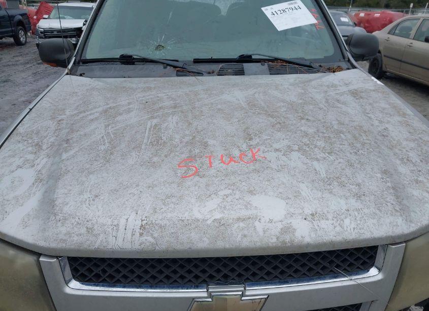 Photo 10 of 2007 Chevrolet Trailblazer LT (VIN 1GNDS13S772299958)