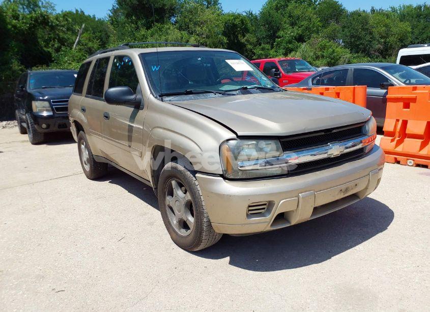 2006 Chevrolet Trailblazer LS (VIN 1GNDS13SX62350822) main photo