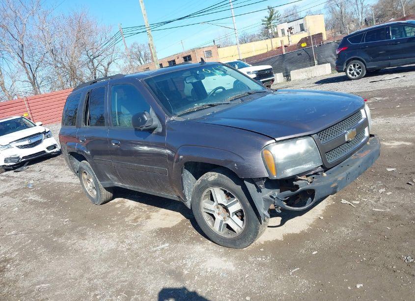 2008 Chevrolet Trailblazer LT (VIN 1GNDS13SX82239612) main photo