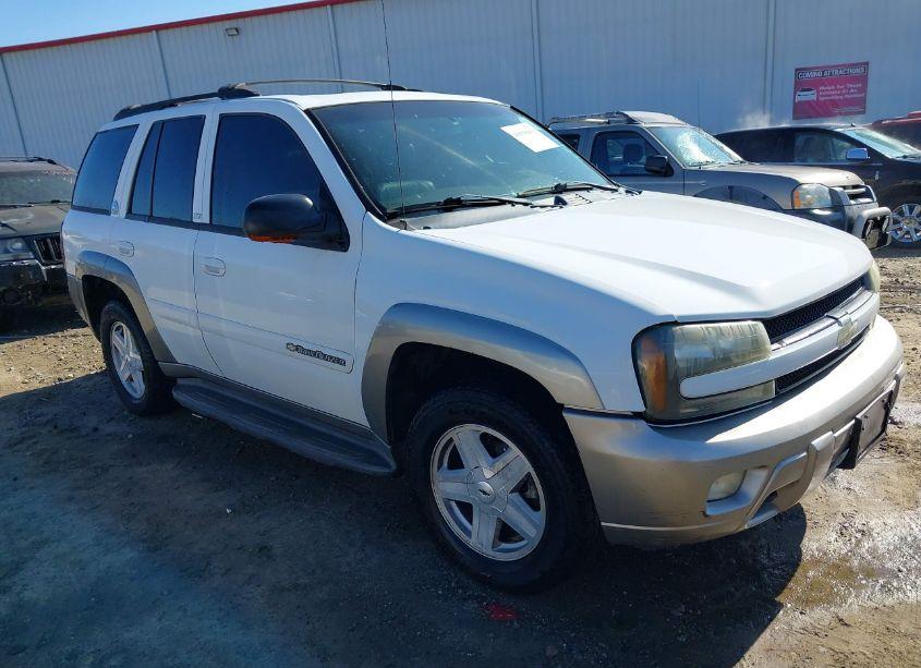 2002 Chevrolet Trailblazer LTZ (VIN 1GNDT13S322234384) main photo