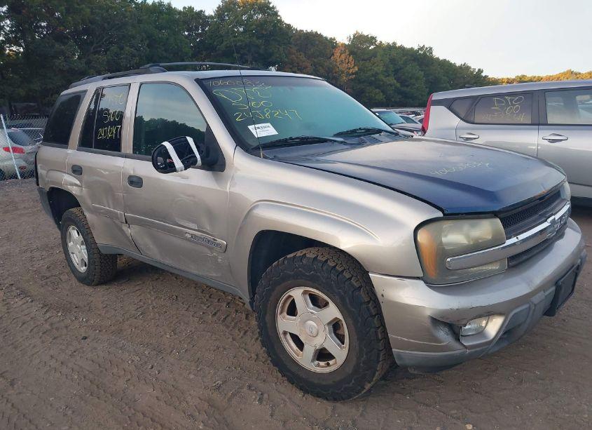 2002 Chevrolet Trailblazer LS (VIN 1GNDT13S322454883) main photo