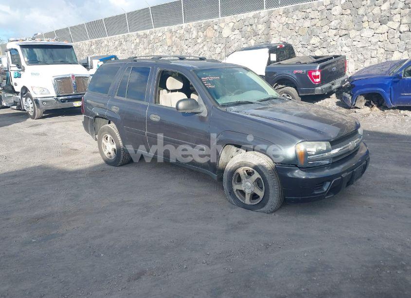 2006 Chevrolet Trailblazer LS (VIN 1GNDT13S362173009) main photo