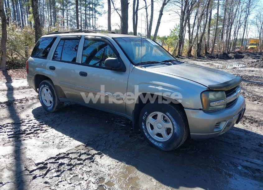 2002 Chevrolet Trailblazer LS (VIN 1GNDT13S422345395) main photo