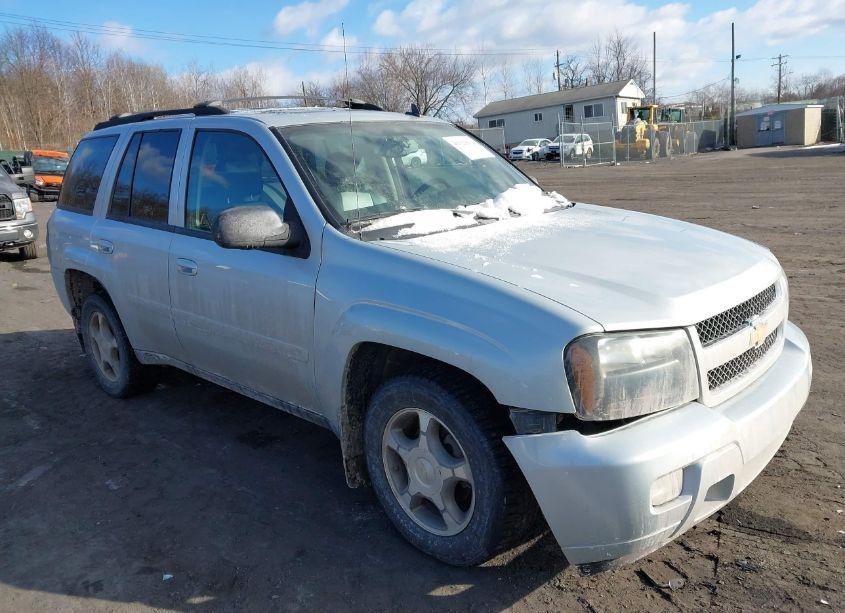 2008 Chevrolet Trailblazer LT (VIN 1GNDT13S582149054) main photo