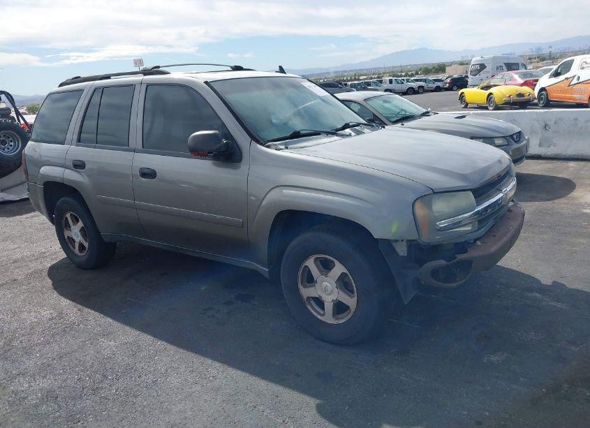 2006 Chevrolet Trailblazer LS (VIN 1GNDT13S962187416) main photo