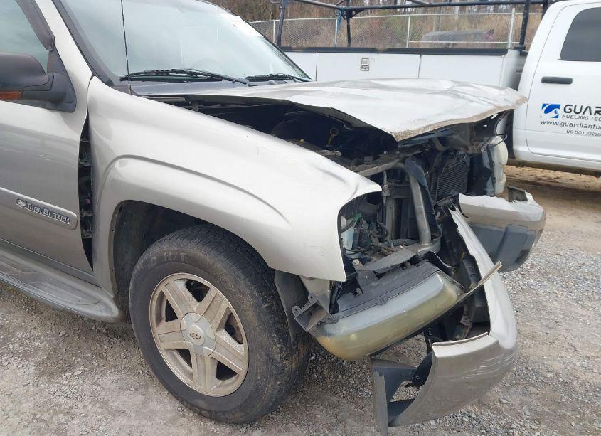 Photo 13 of 2002 Chevrolet Trailblazer LTZ (VIN 1GNDT13SX22367465)