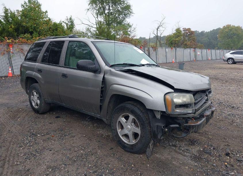2006 Chevrolet Trailblazer LS (VIN 1GNDT13SX62109789) main photo