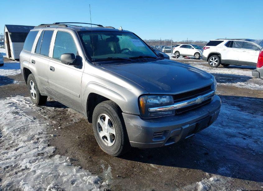 2006 Chevrolet Trailblazer LS (VIN 1GNDT13SX62136393) main photo
