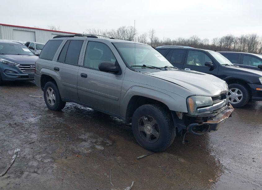2006 Chevrolet Trailblazer LS (VIN 1GNDT13SX62256727) main photo
