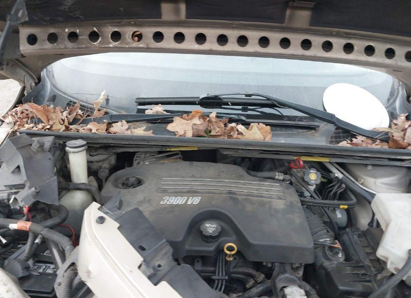 Photo 10 of 2008 Chevrolet Uplander LS (VIN 1GNDU23W18D102193)