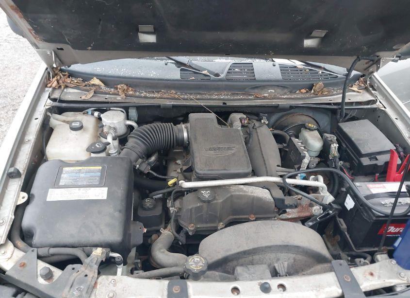 Photo 10 of 2006 Chevrolet Trailblazer (VIN 1GNET16S566103472)