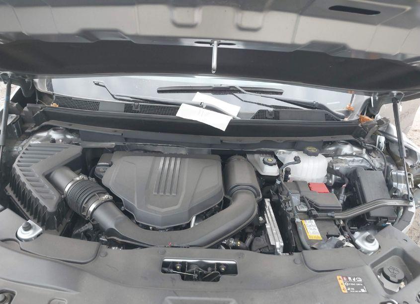 Photo 10 of 2024 Chevrolet Traverse AWD Z71 (VIN 1GNEVJKS8RJ147726)