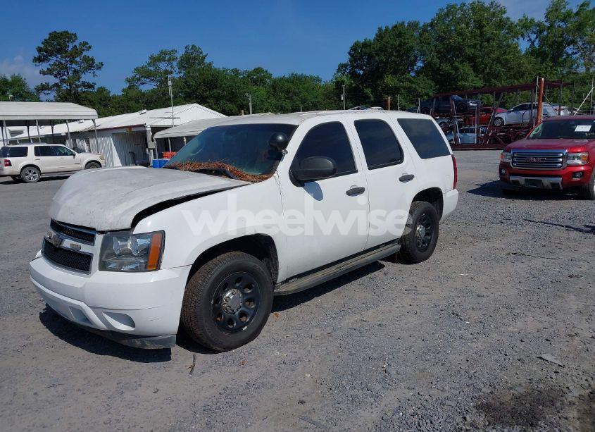 Photo 2 of 2011 Chevrolet Tahoe COMMERCIAL FLEET (VIN 1GNLC2E04BR293125)