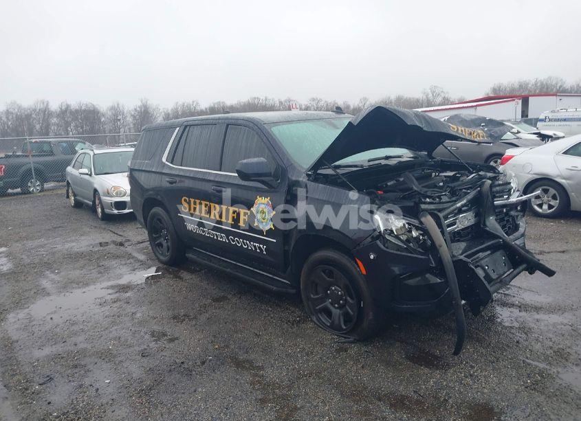 2023 Chevrolet Tahoe 2WD COMMERCIAL FLEET (VIN 1GNSCLEDXPR425980) main photo