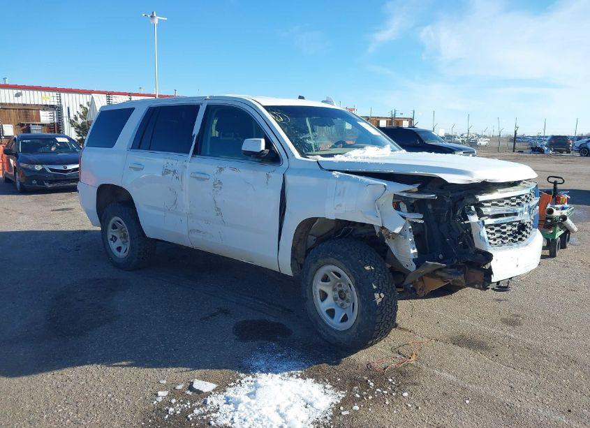 2018 Chevrolet Tahoe COMMERCIAL FLEET (VIN 1GNSKFEC0JR126193) main photo