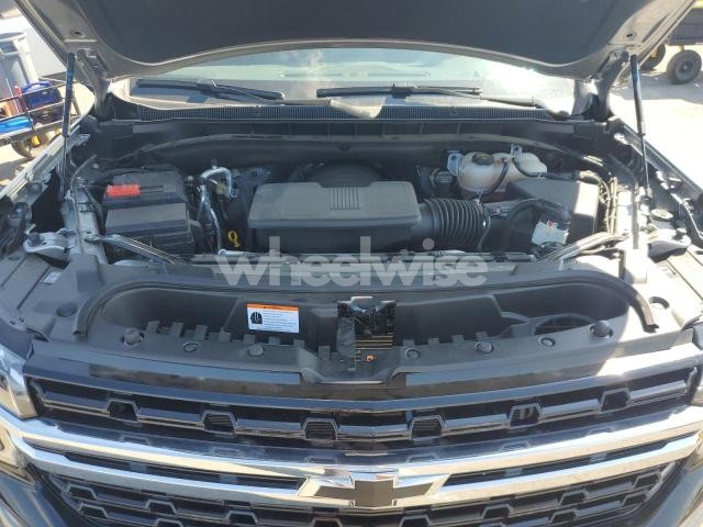 2024 CHEVROLET TAHOE K1500 (VIN 1GNSKLED4RR371825) main photo