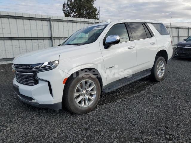 Photo 11 of 2024 CHEVROLET TAHOE K1500 PREMIER (VIN 1GNSKSKDXRR185088)