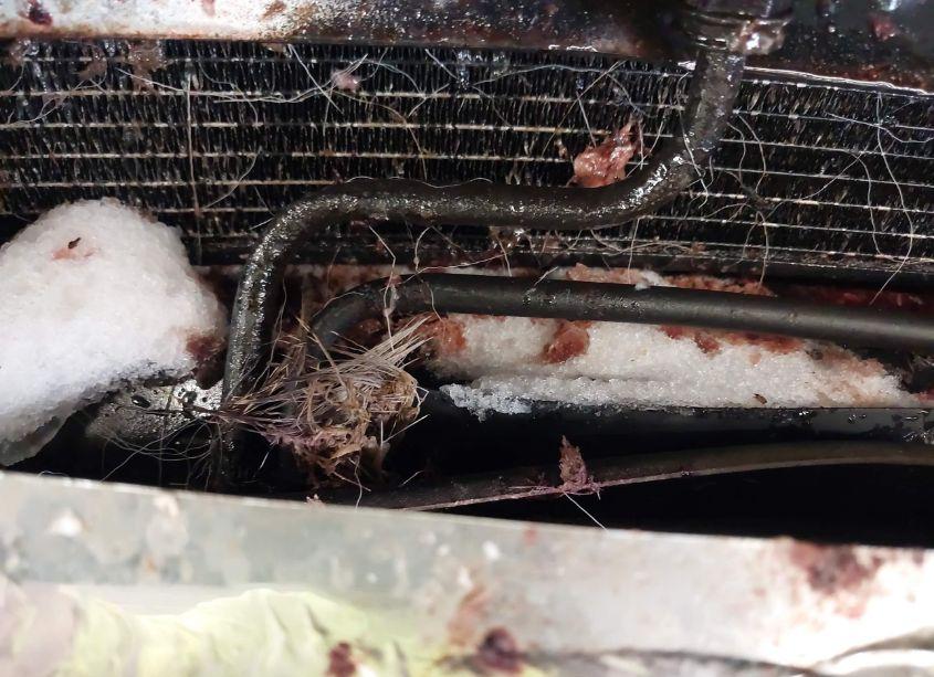 Photo 12 of 2005 Gmc Sierra 1500 SLT (VIN 1GTEK19B95E215283)