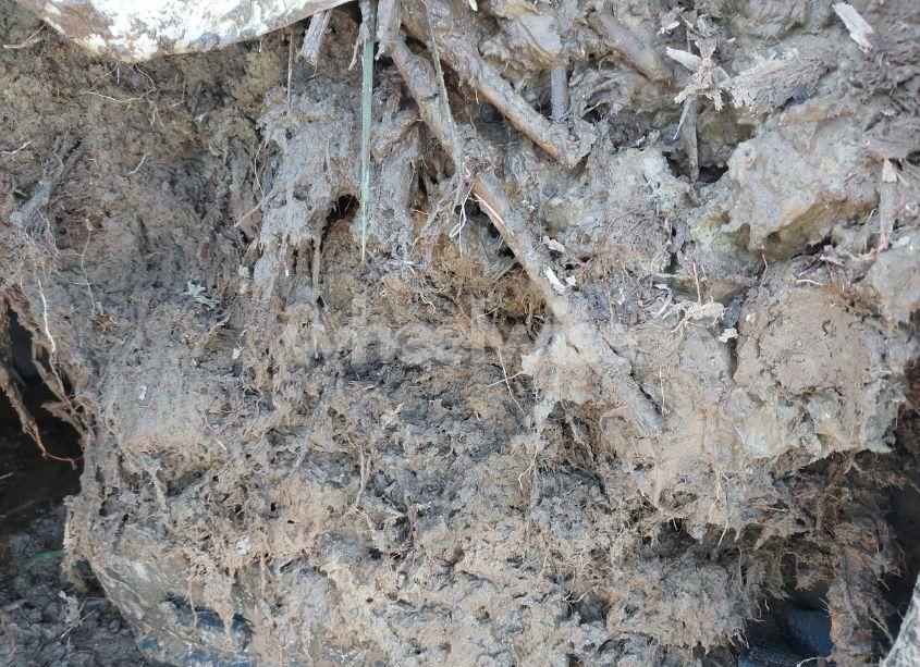 Photo 8 of 2021 Gmc Canyon 4WD ELEVATION STANDARD (VIN 1GTH6BEN2M1216465)