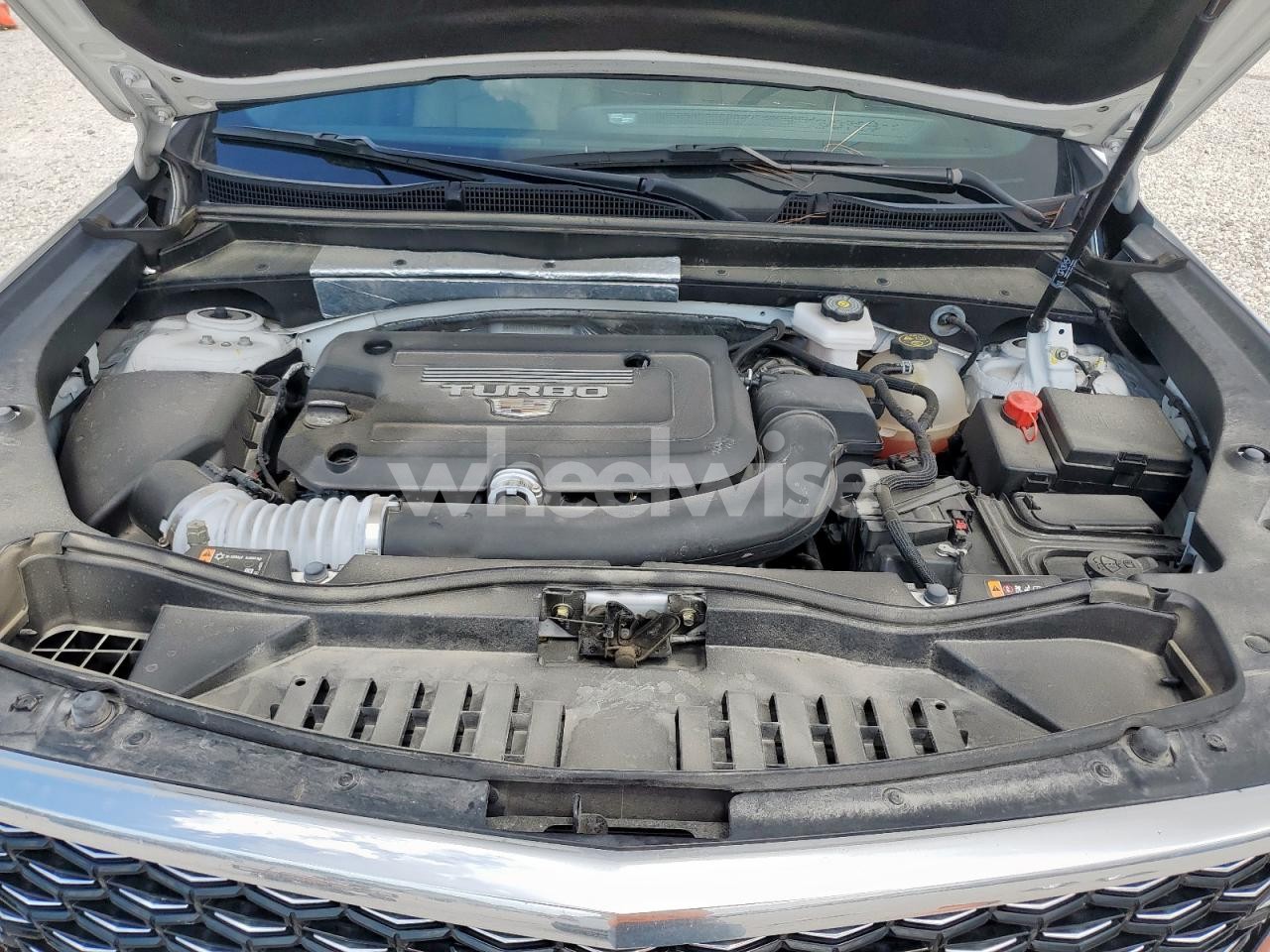 Photo 12 of 2024 CADILLAC XT4 LUXURY (VIN 1GYAZAR47RF120632)