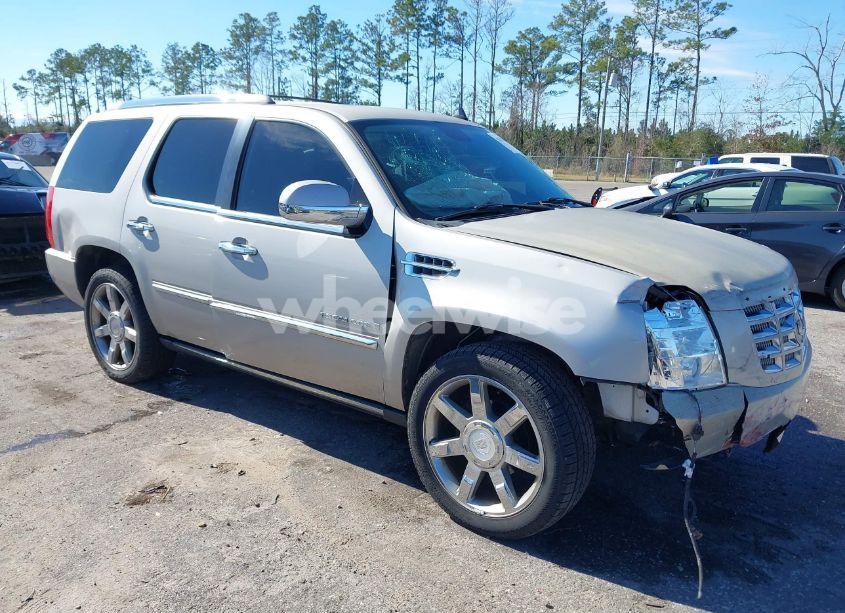 2008 Cadillac Escalade STANDARD (VIN 1GYEC63808R109920) main photo